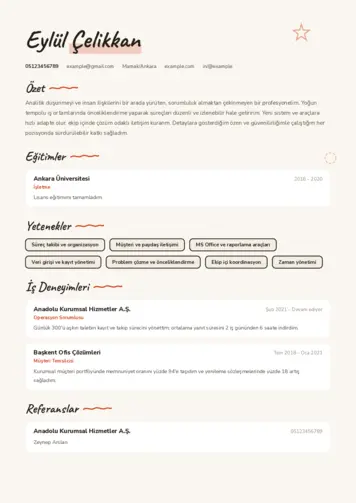  cv indir